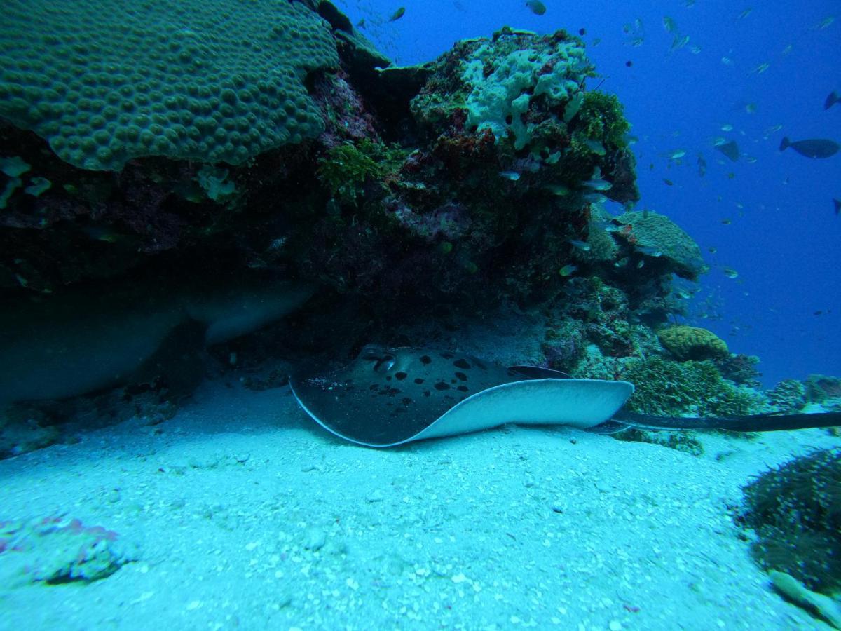 Coral Beach Maldives Hangnaameedhoo Bagian luar foto